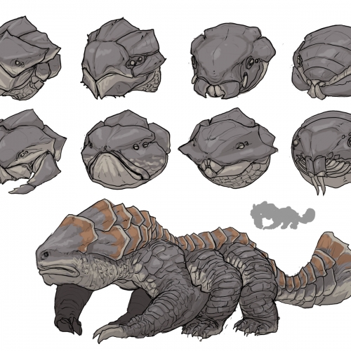 Omnivore_B_190503_Heads
