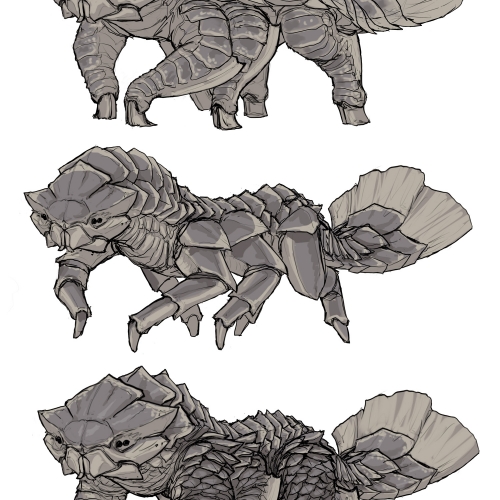 Omnivore_B_190506_Variations