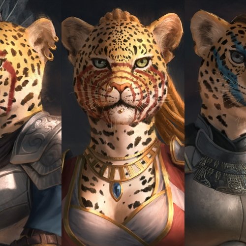 Khajiit_Portraits_Deiv_Calviz