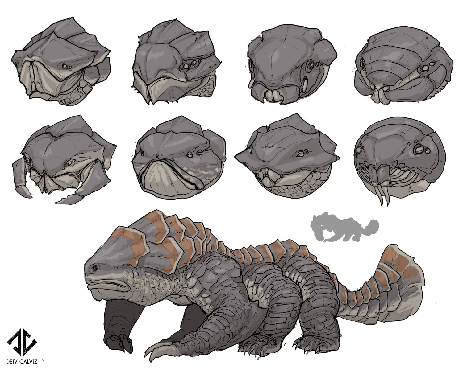 Omnivore_B_190503_Heads