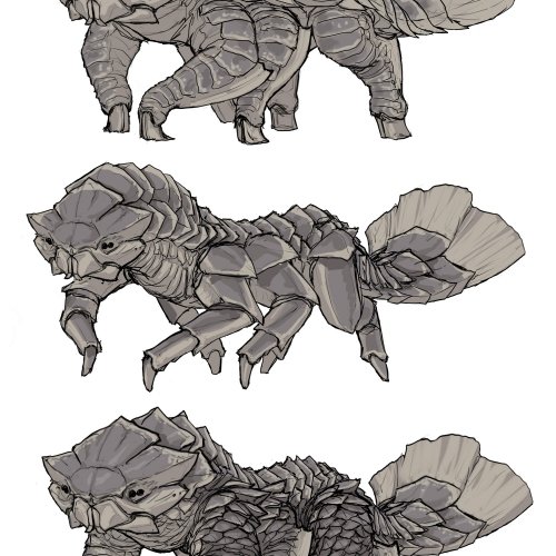 Omnivore_B_190506_Variations