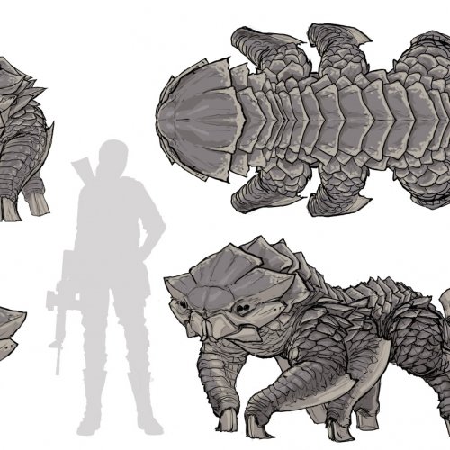Omnivore_B_190508_Poses
