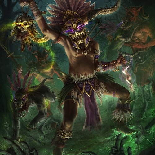 Diablo 3 Witch Doctor Fan Art