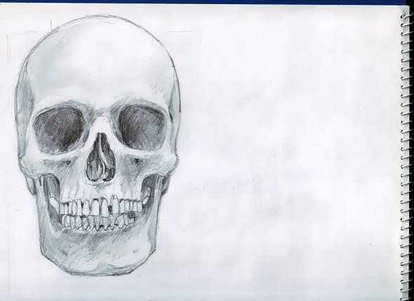 Anatomy Study 004
