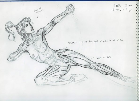 Anatomy Study 010