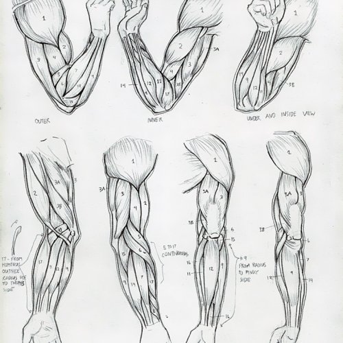 Traditional Studies