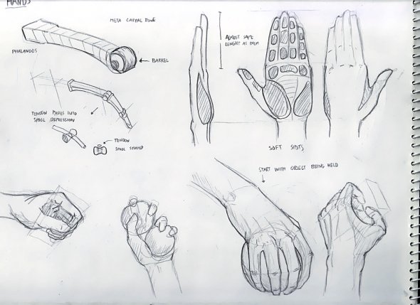 Anatomy Study 021