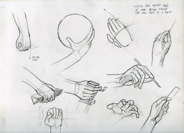 Anatomy Study 022