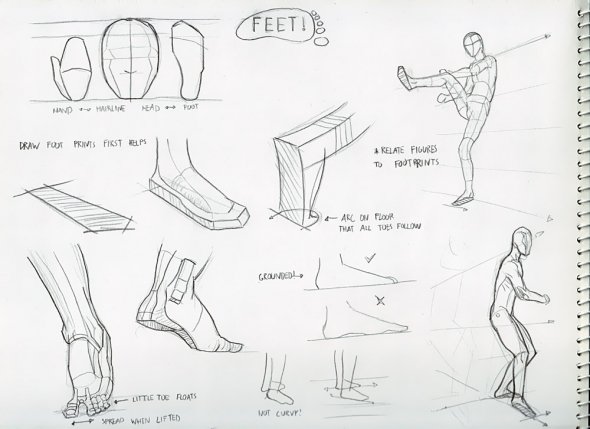 Anatomy Study 029