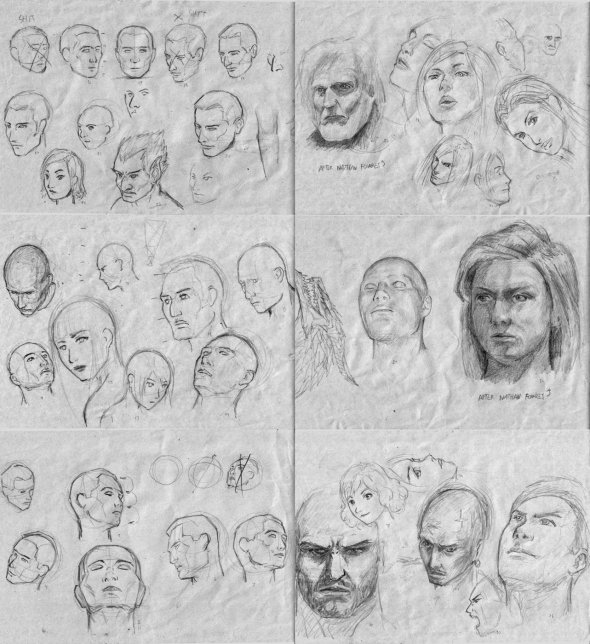 Head Studies 001