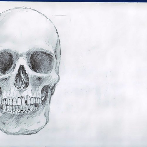 Anatomy Study 004