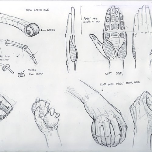 Anatomy Study 021