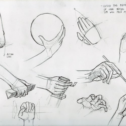 Anatomy Study 022