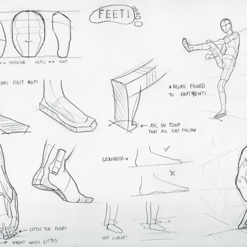Anatomy Study 029