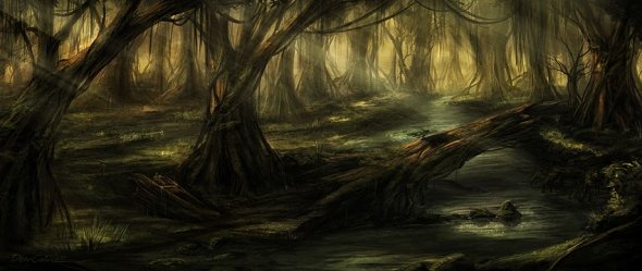 Swamp